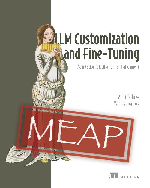 LLM Customization and Fine-Tuning cover