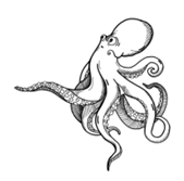 Shape Description automatically generated with low confidence