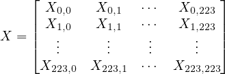  ⌊ ⌋ | X0,0 X0,1 ⋅⋅⋅ X0,223| X = || X1,0 X1,1 ⋅⋅⋅ X1,223|| ⌈ ... ... ... ... ⌉ X223,0 X223,1 ⋅⋅⋅ X223,223 