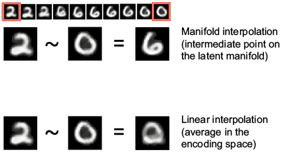 linear interpolation vs manifold interpolation