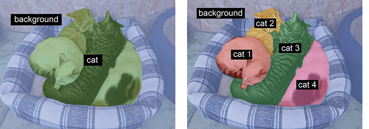 instance segmentation