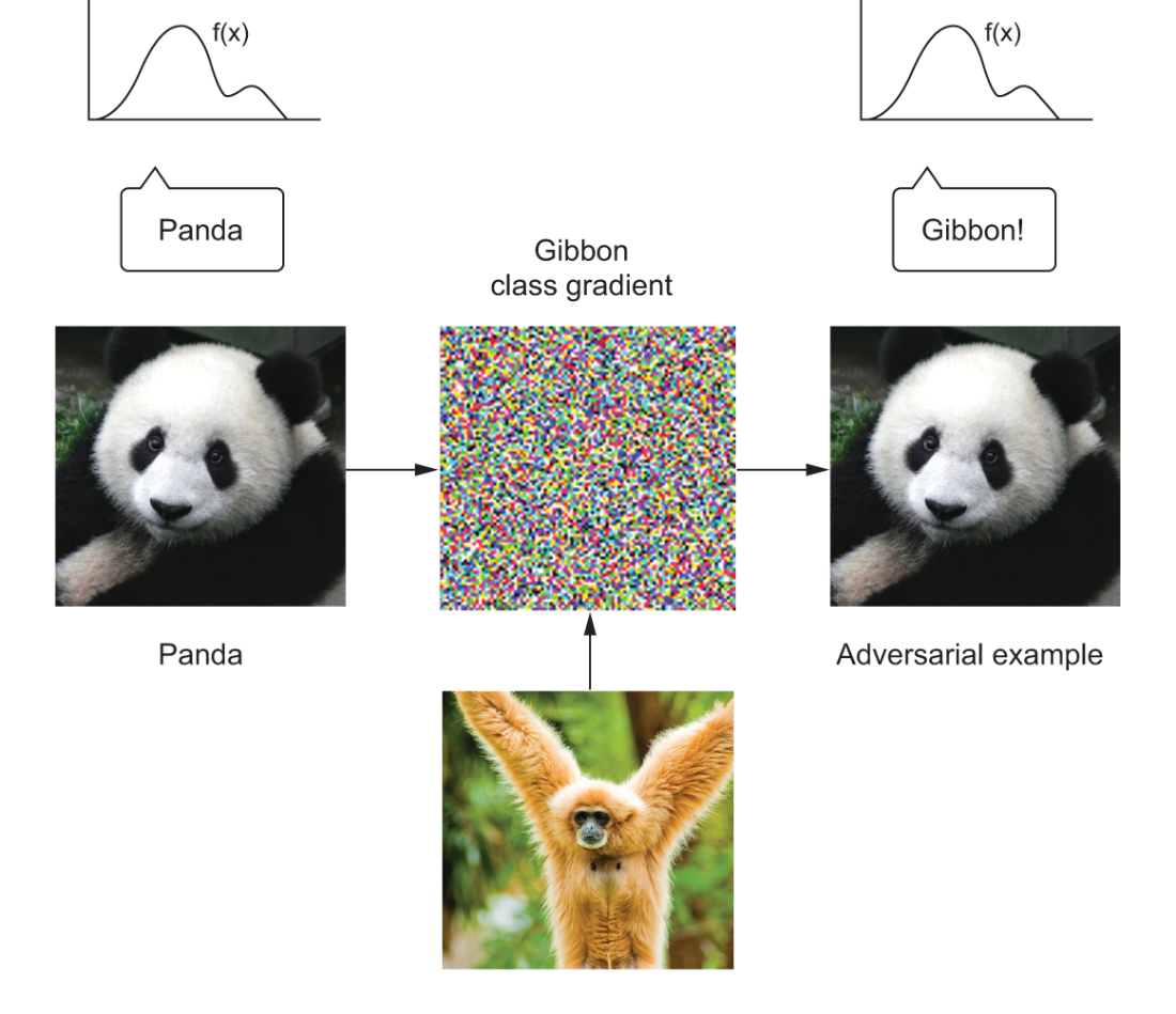 adversarial example