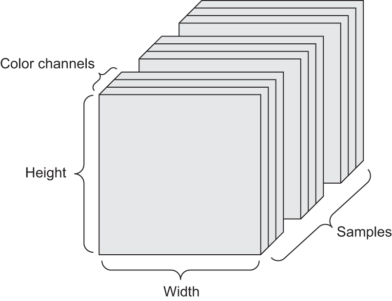ch02 image data
