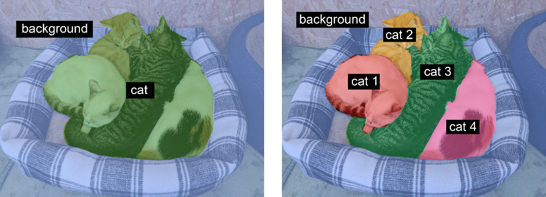 instance segmentation