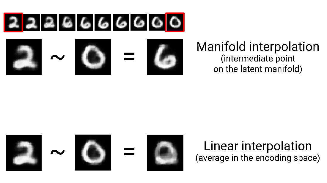 linear interpolation vs manifold interpolation