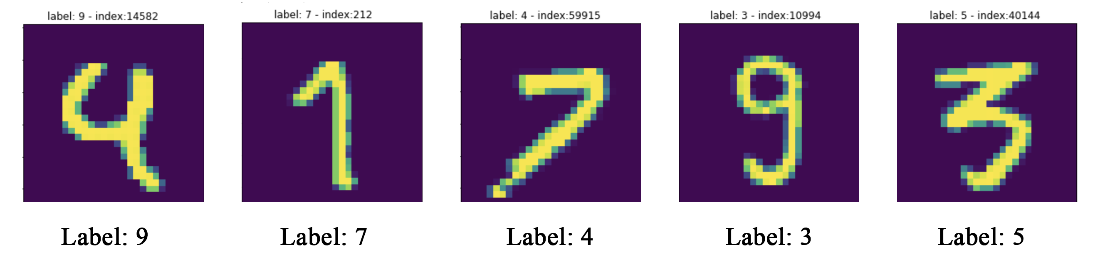 mislabeled mnist