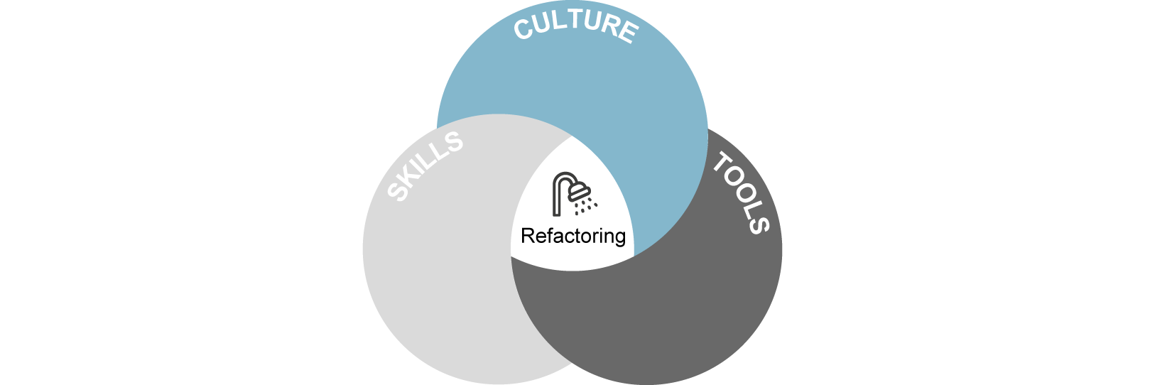 CH01 F01 SkillsCultureTools