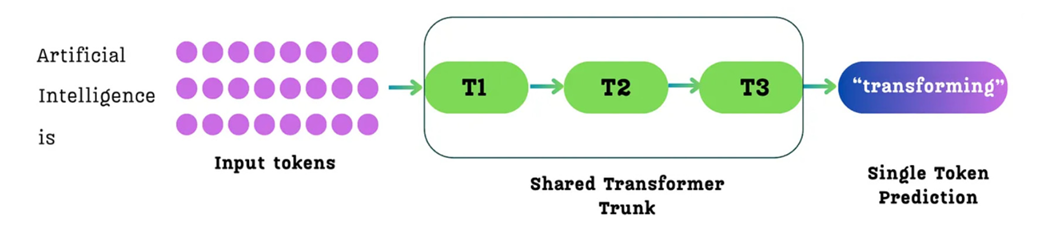 Figure 5.2 The standard single-token prediction process. For a given sequence of input tokens, the model predicts only the single immediate next token for each position.