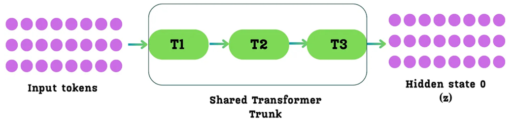 Figure 5.7 The initial step of the Multi-Token Prediction process. Input tokens are passed through the main "Shared Transformer Trunk," which consists of multiple Transformer blocks. The output is the initial matrix of hidden states (denoted as h⁰ or z), which serves as the starting point for the MTP modules.