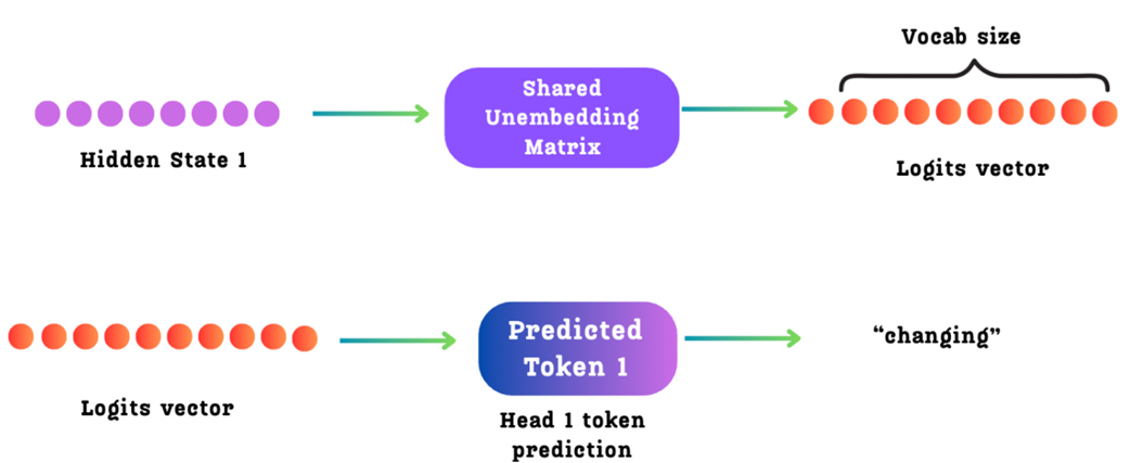 Figure 5.12 The final prediction steps within an MTP module. The new hidden state generated by the MTP Transformer block is passed to a "Shared Un-Embedding Matrix." This projects the hidden state into the vocabulary space to produce a logits vector, from which the final token for that prediction step is selected.