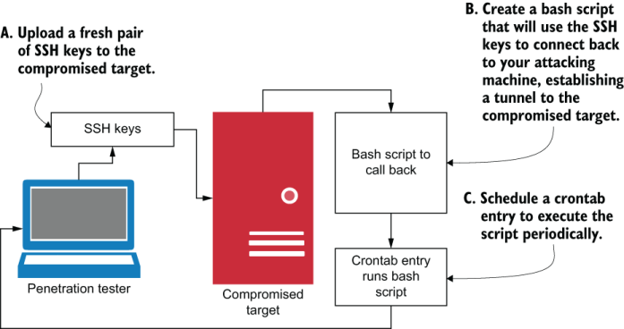 9 Linux Or Unix Post Exploitation The Art Of Network Penetration Testing Taking Over Any Company In The World Livebook