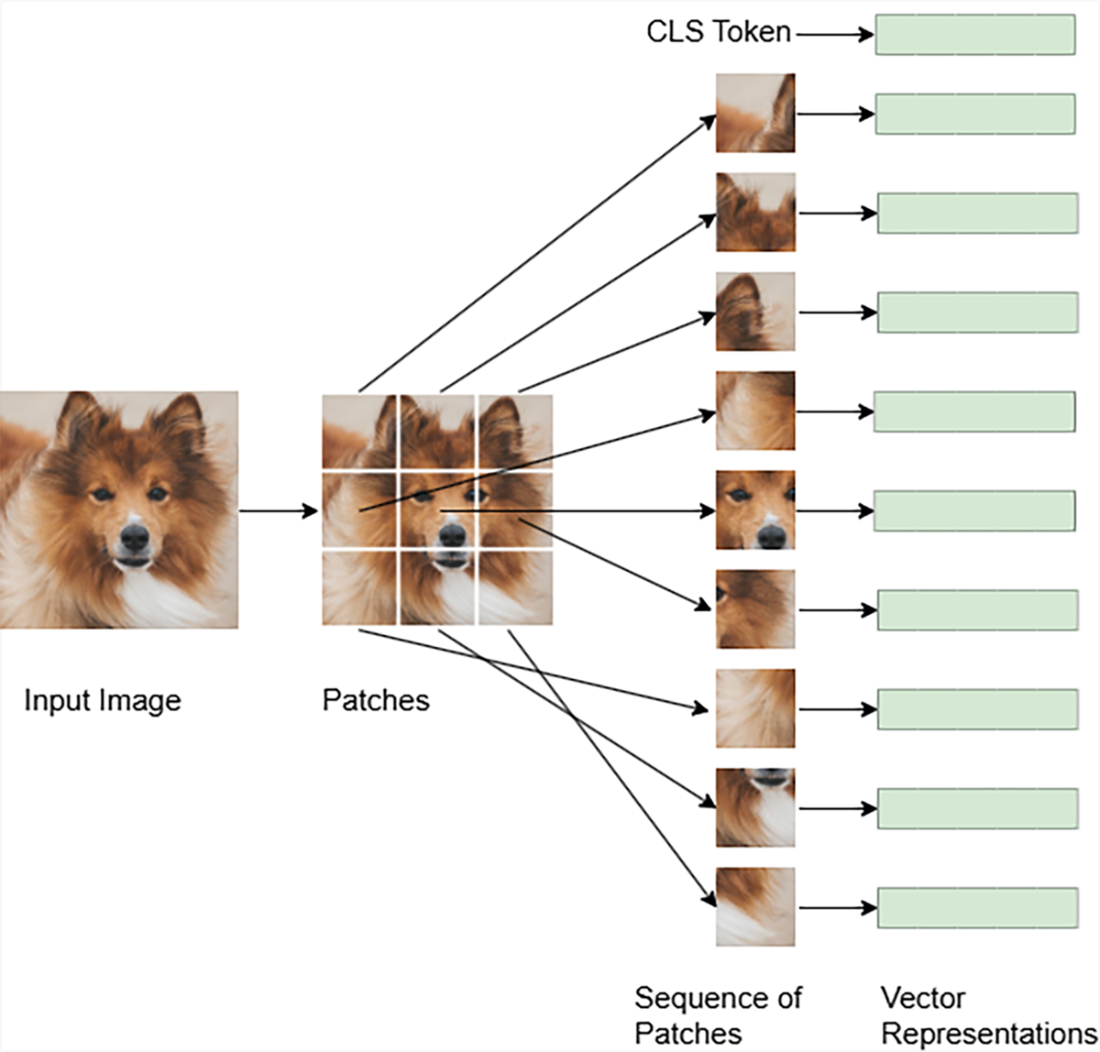 Text To Image Generation Model Build a Text-to-Image Generator (from Scratch)
