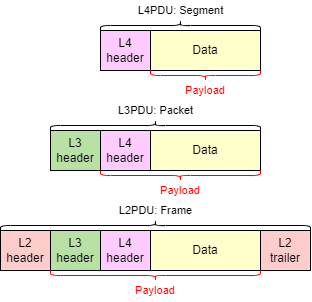 Psdu Header Acing the CCNA Exam, Volume 1