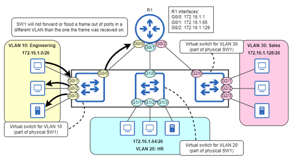 Vlan Animation Acing the CCNA Exam, Volume 1
