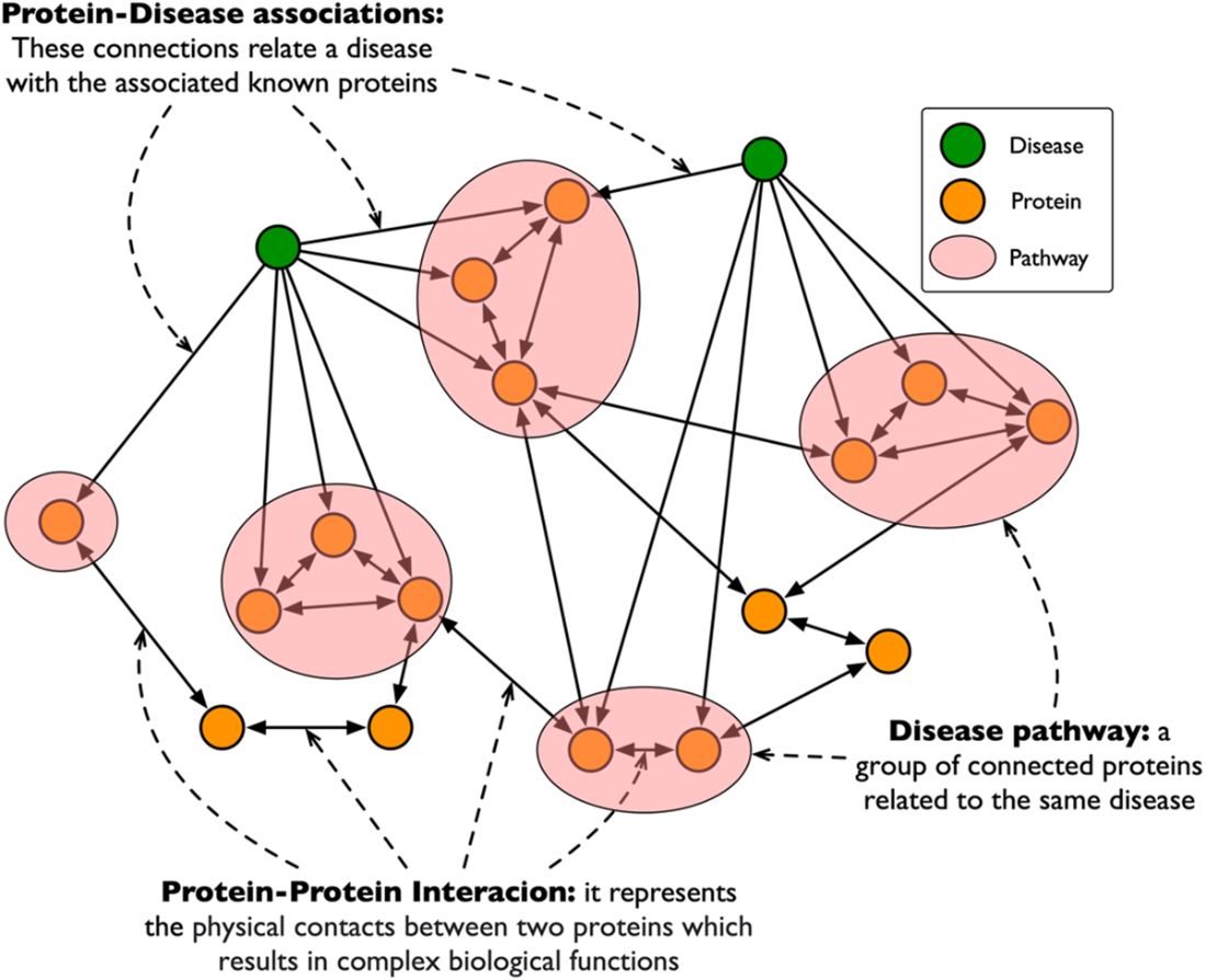 Pathophysiology Knowledge Graph Knowledge Graphs and LLMs in Action