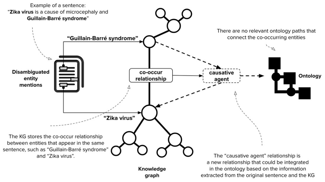 Pathophysiology Knowledge Graph Knowledge Graphs and LLMs in Action
