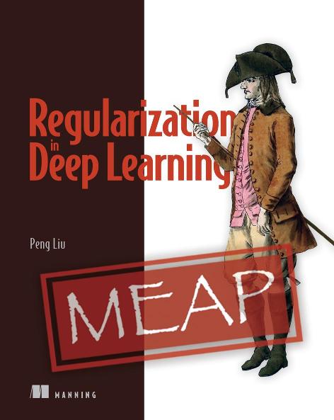 Regularization in Deep Learning MEAP V07 cover