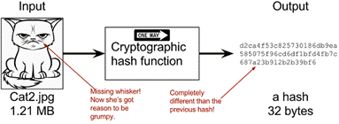 hashing a modified cat.png