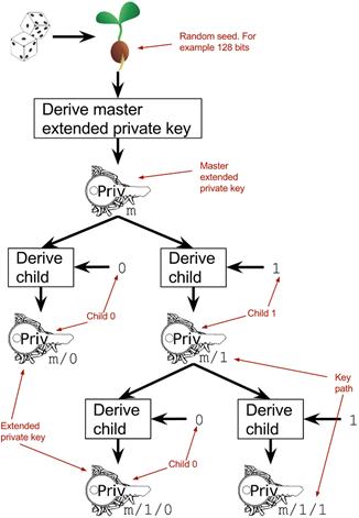 hd wallet key tree overview.png