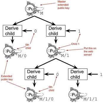hd wallet xpub tree.png