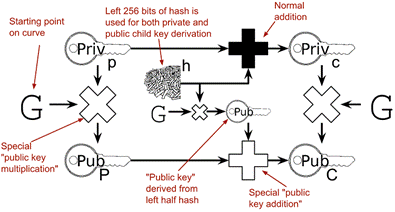 derive pubkey and child xpub.png