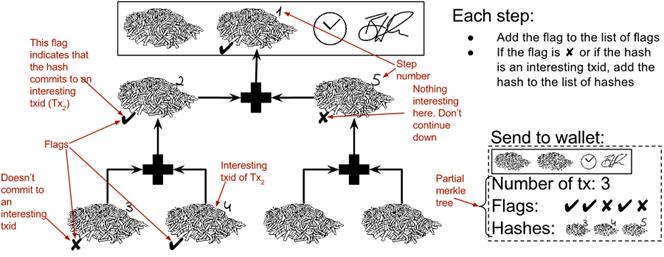partial merkle tree.png