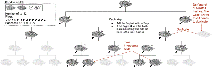 bigger partial merkle tree.png