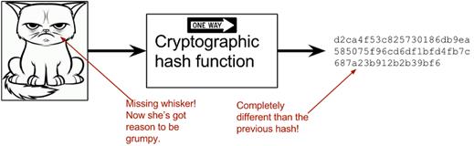 2ndcol hashing a modified cat.png