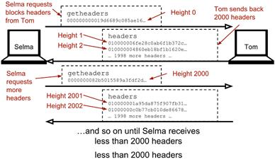 getheaders selma tom.png