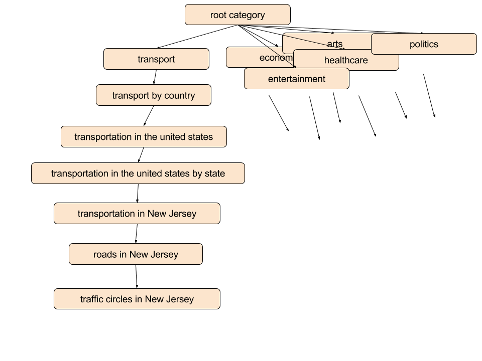cat taxonomy