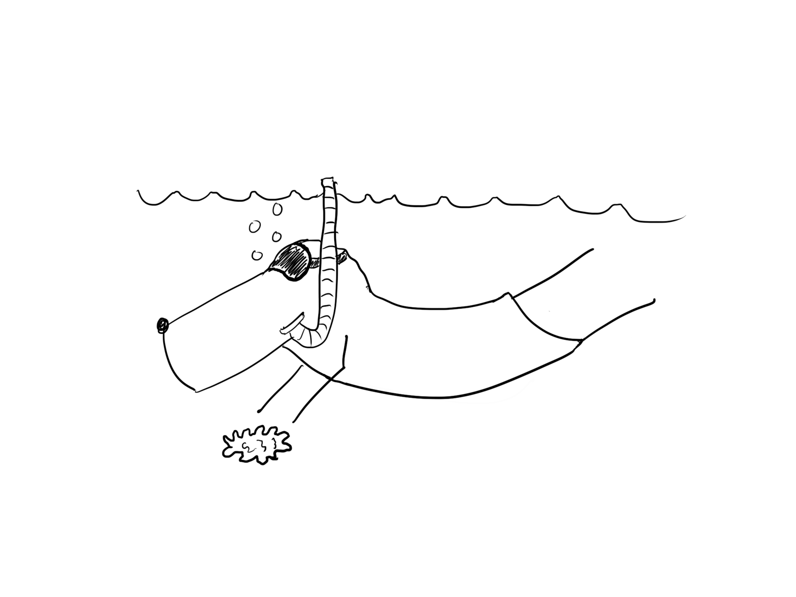 Alex has a PhD in Marine Biology. 