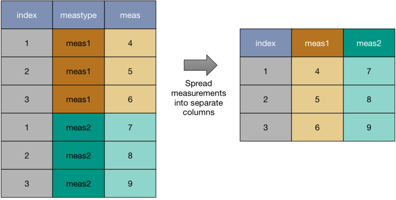 Moving from tall to wide form
