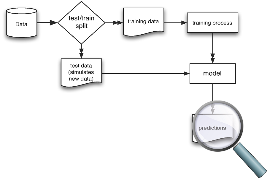 Schematic of model construction and evaluation