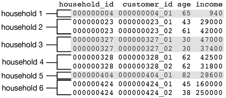Example of dataset with customers and households