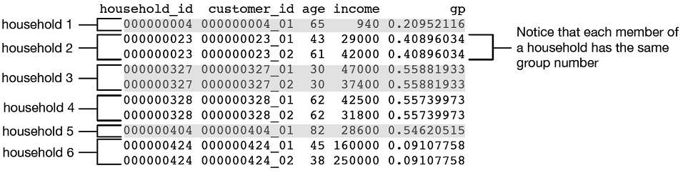 Example of dataset with customers and households