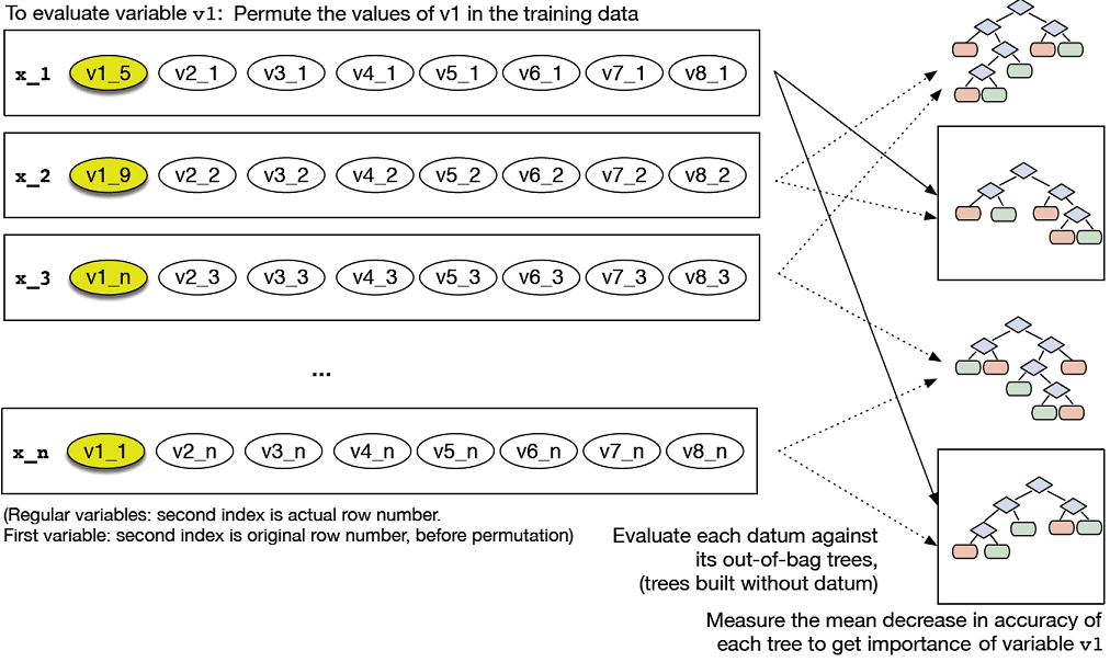 Calculating variable importance of variable v1