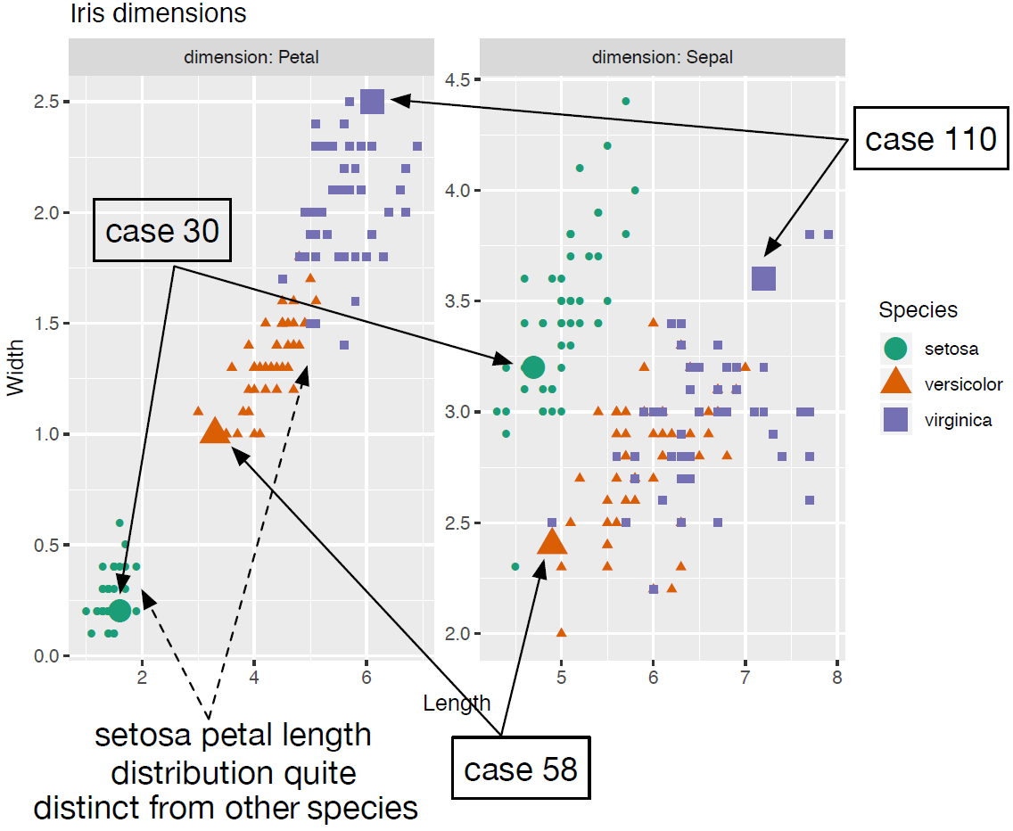 Distributions of petal and sepal dimensions by species