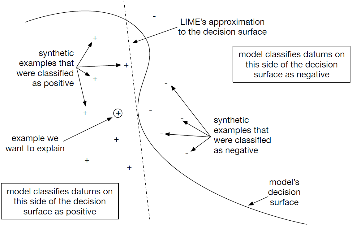 Notional sketch of how LIME works