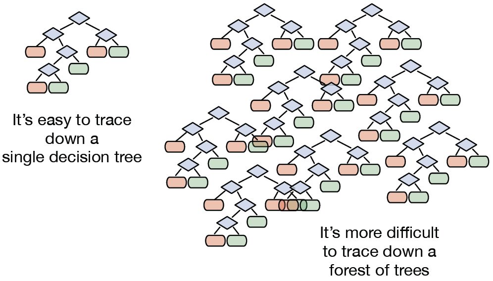 Some kinds of models are easier to manually inspect than others