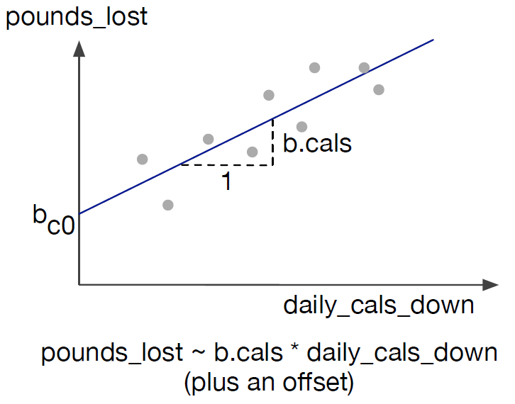 The linear relationship between daily_cals_down and daily_exercise